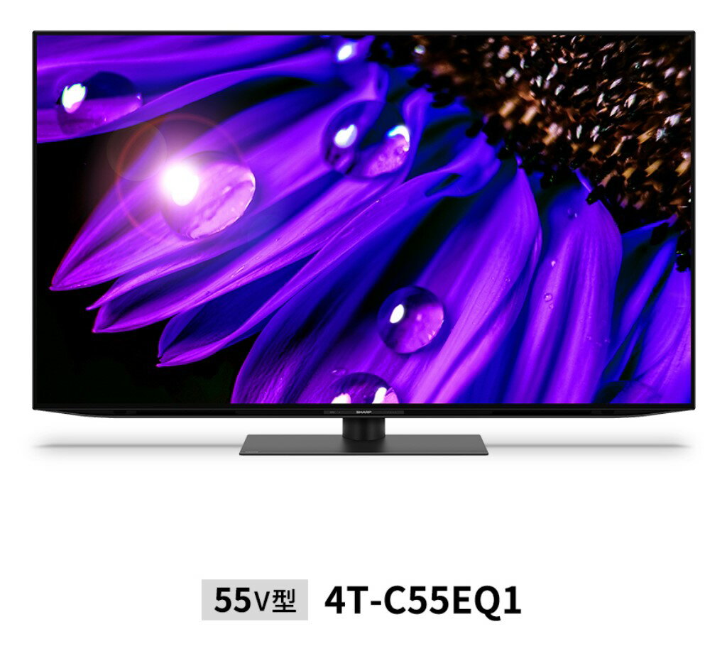 AQUOS(アクオス) 有機ELテレビ 55V型 4Kチューナー内蔵 4T-C55EQ1（標準設置無料） シャープ(SHARP) SHARP