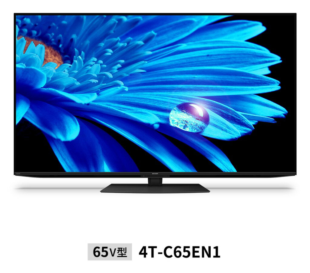 4Kチューナー内蔵 液晶ELテレビ 65V型 4T-C65EN1 〈4TC65EN1〉