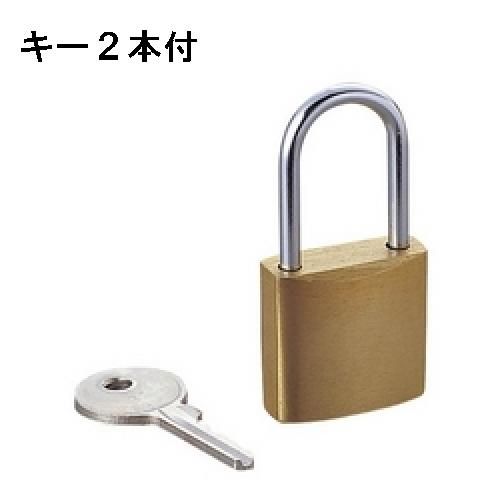 【新品/取寄品/代引不可】セキュリティロック ESL-NKS