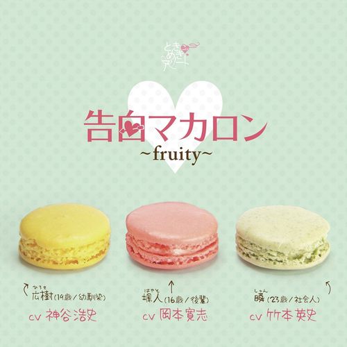 【新品/取寄品】ときめきアソートvol.4告白マカロン・fruity