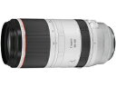 Canon RF100-500mm F4.5-7.1 L IS USM 超望遠ズームレンズ キヤノン