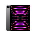 Apple MNXP3J/A iPad Pro 12.9インチ 第6世代 Wi-Fi 128GB 2022年秋モデル スペースグレイ