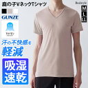 GUNZE グンゼ アセドロン 鹿の子 吸湿速乾 メンズ 半袖 Vネック インナー Tシャツ MCA715 メンズ トップス 肌着 下着 吸汗速乾 ドライ 通気性 抗菌 防臭 ストレッチ 紳士 男性 シンプル メール便