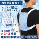 外でも家でも使える◎ 保冷剤を背負って背中を効果的に冷やす! ストロングクールメッシュリュック 冷却 パッド パット グッズ 冷感 冷たい ひんやり 暑さ対策 ...