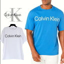 カルバン・クライン Tシャツ メンズ ＼売り尽くし／ カルバンクライン Calvin Klein 半袖Tシャツ ルーズフィット Calvin Klein Tシャツ メンズ ロゴ USAモデル オーバーサイズ ビッグサイズ 大きいサイズ ホワイト 白 青 ブルー ゆったり