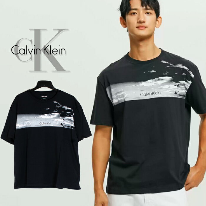 Х󥯥饤 T Calvin Klein T  ȾµT  USAǥ 礭  ڥͥݥб