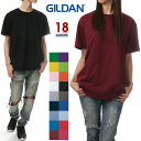 半袖Tシャツ メンズ ギルダン GILDAN 無地T半袖T 綿100 4.5oz ソフトスタイル 大きいサイズ ホワイト 白 黒 紺 グレー ベージュ ピンク オレンジ 紫 緑 青 赤 水色 イエロー チャコール 【ネコポス】プレゼント