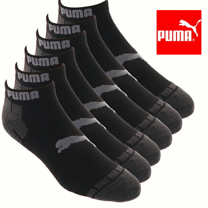 å  6­ סޥå PUMA  6P   ֤  B  USA ֥ եå ̵...