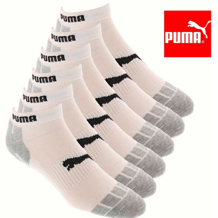 å  6­ סޥå PUMA  6P   ֤  B  USA ֥ եå ̵...