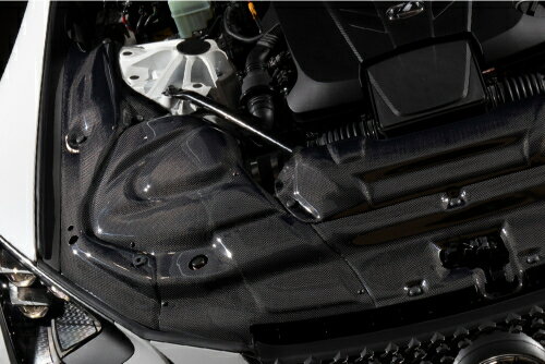 BLITZ CARBON INTAKE SYSTEM レクサス LC500 URZ100用 (27021)【インテーク】【自動車パーツ】ブリッツ カーボンインテークシステム