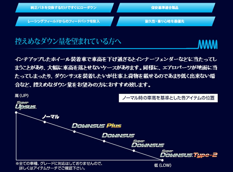 ESPELIR DOWNSUS スズキ ワゴンR 3型 ターボ車 RR/RR-D1 MH21S用 1台分(ESS-2379) 【ダウンサス】【自動車パーツ】エスペリア ダウンサス