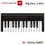 IK Multimedia / ޥǥiRig Keys 2 Mini / ꥰ  ġ ߥ˻Ӥò ѥ ХMIDIܡ ȥ٥ƥб 25ߥ˥Ź / IKޥǥ ޥǥ