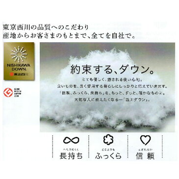 羽毛掛けふとん　ダブル【東京西川】西川ダウン　日本製　へたりにくく長持ち　どこよりもふっくら　とぎれない信頼自社一貫体制の東京西川だけの品質　NP7057 KA27299018　190×210cm