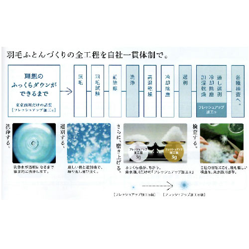 羽毛肌掛けふとん　ダブル【東京西川】西川ダウン　日本製　へたりにくく長持ち　どこよりもふっくら　とぎれない信頼自社一貫体制の東京西川だけの品質　NP7057 KA27129038　190×210cm