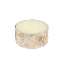 バーチウッド スタンプ キャンドル S BIRCHWOOD STUMP CANDLE S
