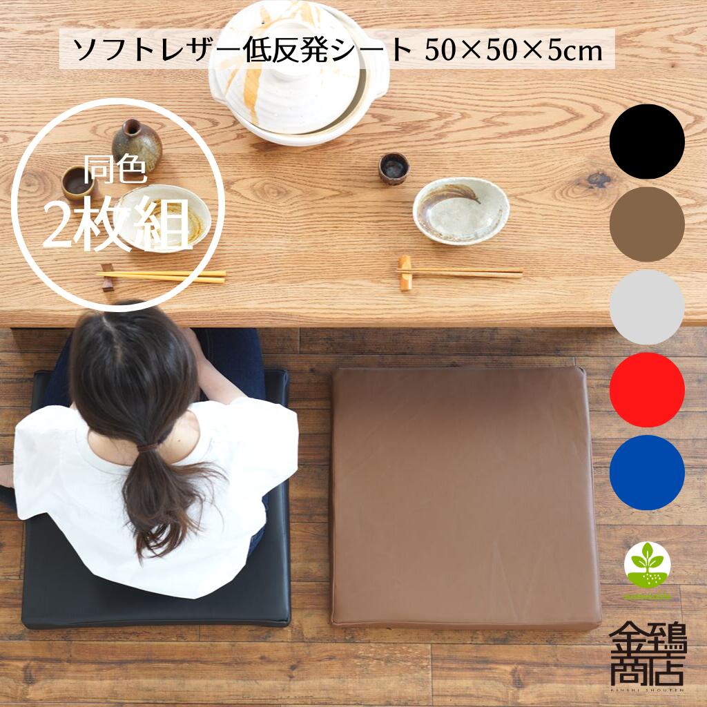 【ポイント5倍】低反発座布団 50x50x5cm 2枚セット 合皮 PVCレザー 大きめ クッション コラム リビング 中身セット 居酒屋 座敷 業務用 まとめ買い お手入れ簡単 無地 全5色