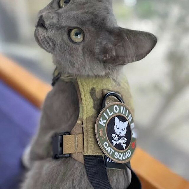 キロナイナー キャットスワッグ マルチカモ モールパッチ KILONINER Cat Squad Patch Multicam - Morale Patch / ハードウェア ベルクロ使用 パッチ ワッペン ミリタリー 猫