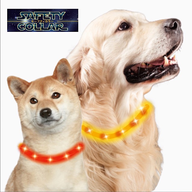 セーフティカラー55 SAFETY COLLAR / 犬用ライト お散歩用ライト LED USB充電式 防水のサムネイル