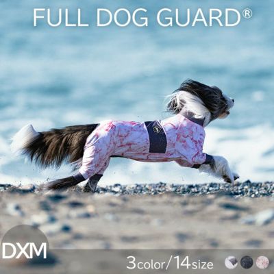 ALPHAICON 2023ǯǥ եɥå DXM ե FULL DOG GUARD DXM