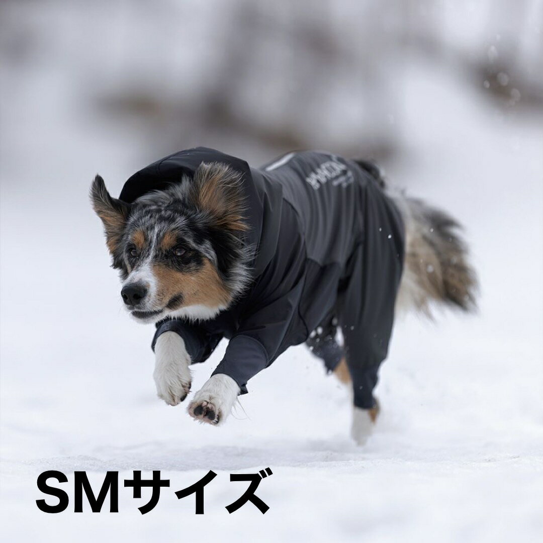 アルファアイコン 2023年モデル スノードッグガード SMサイズ ALPHAICON SnowDogGuard SM