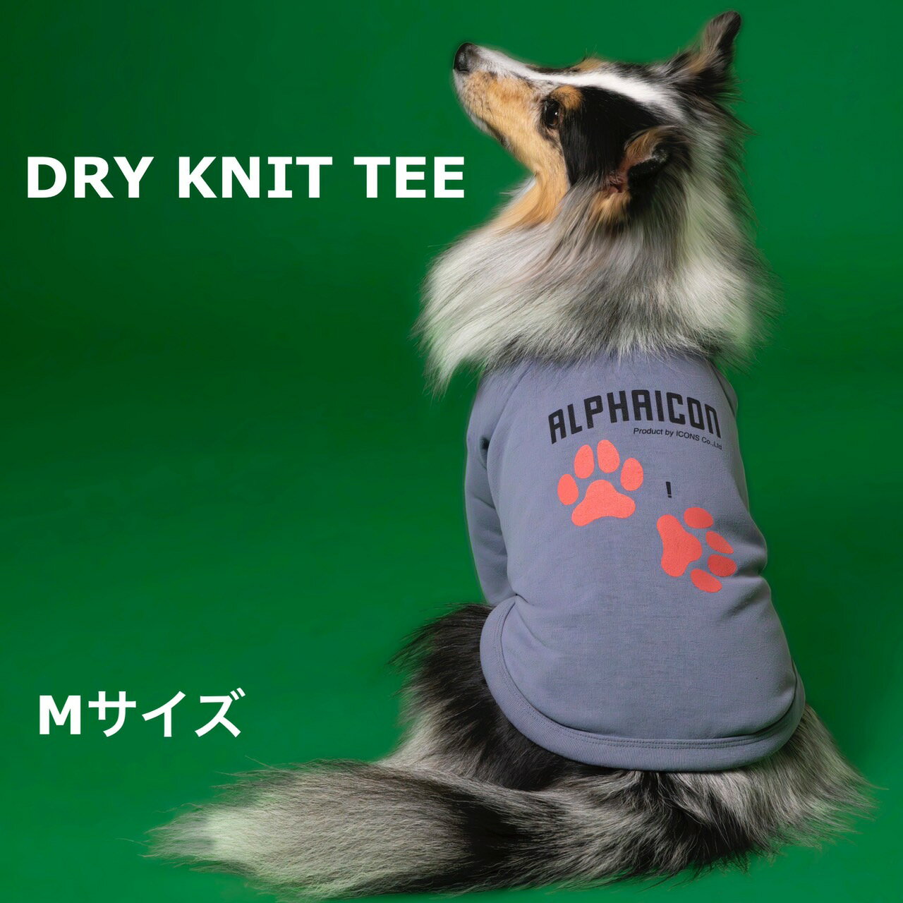 楽天Out Tail Dog Outdoor Gearアルファアイコン 2024年モデル ドライニットティー Mサイズ ALPHAICON DRY KNIT TEE / 犬服 吸水速乾 UVカット