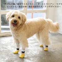 犬用の靴下SkitterPLUS(2個入)