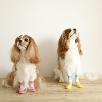 犬用の靴下SkitterPLUS(2個入)
