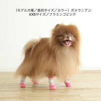 犬用の靴下SkitterPLUS(2個入)