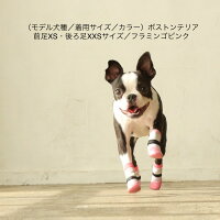 犬用の靴下SkitterPLUS(2個入)