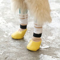 犬用の靴下SkitterPLUS(2個入)