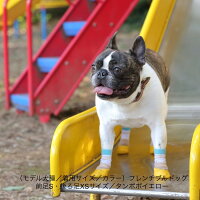 犬用の靴下SkitterPLUS(2個入)