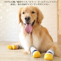 SkitterPLUS(2個入)犬用の靴下