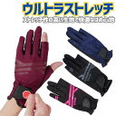 ポイント10倍+先着10名様10%OFFクーポングラウンドゴルフ グローブ ハタチ BH8028 ウルトラストレッチ 2本指カット マーカー磁石付 スマホ対応 ...