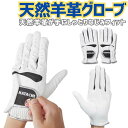 ポイント10倍+先着10名様10%OFFクーポンハタチ グラウンドゴルフ 手袋 メンズ レディース 左右セット 羊革 グリップ力 3D設計 BH8043 マグネ...