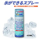ルック コールドスプレー 瞬間冷却 氷のような冷たさ スポーツ 応急処置 熱中症対策 日本製 打撲 捻挫 クールダウン 怪我 予防 スプレータイプ 冷却スプレー...