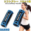 ダンノ D7286 ソフトアレー 1kg×2個セット スポーツトレーニング用ダンベル 筋トレ フィットネス レディース メンズ ハンドウェイト 持ち運び 体幹強...
