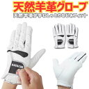 ハタチ グラウンドゴルフ 手袋 メンズ レディース 左右セット BH8043 羊革使用 マグネットマーカー対応 3D設計 フィット感抜群 グリップ力 SM ML...