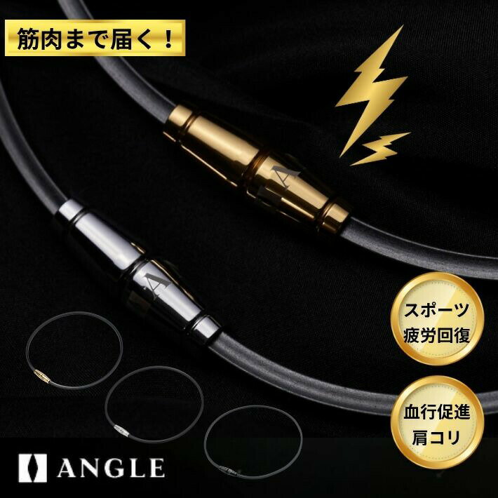 ANGLE アングル 磁気 ネックレス e.MODEL 02 医療機器 肩こり 血行 改善 メンズ レディース スポーツ ゴルフ 野球 ランニング 45cm 50cm 日本製 プラチナ ゴールド ブラック SUS316L 磁力 50mT 同極平行配列