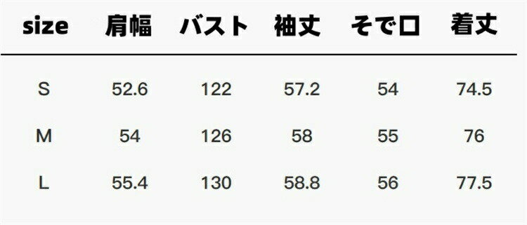 INSスタイル シャツ トップス (T)