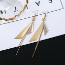 耳飾り ピアス 925シルバー アクセサリー (T)(4)