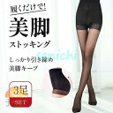 ストッキング 美脚 3点セット お洒落 レディース 黒 可愛い レディース 夏用 パンスト 網タイツ ニーハイストッキング パンティ ブラック ベージュ