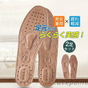 本革 中敷き インソール 通気 登山 アウトドア 通勤 ユニセックス 男女兼用 2足 父の日 ビジネス 革靴 抗菌 ブーツ 防臭