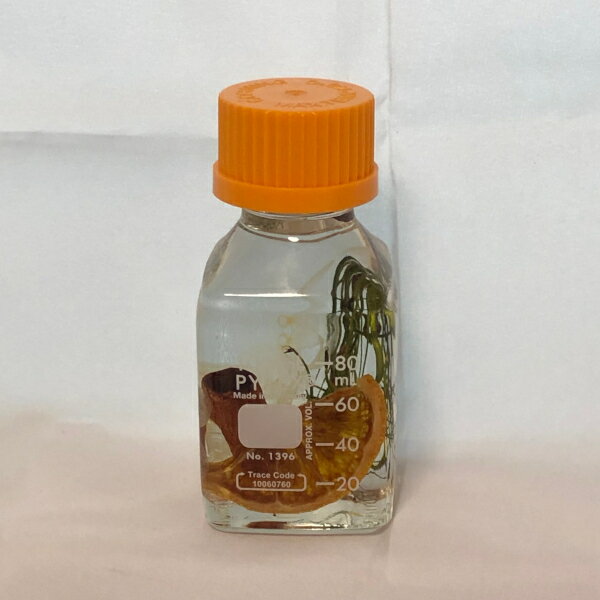 理系容器のハーバリウム［瓶：角瓶］[キャップ：オレンジ]［サイズ：50mm角 高さ107mm］