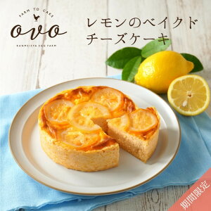 レモンのベイクドチーズケーキ｜期間限定　敬老の日　手土産　スイーツ　チーズケーキ　レモンチーズケーキ