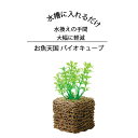 濾過 濾過装置 濾過フィルター 水槽 浄化生物 水換え 濾過器 水 濾過材 濾過マット 濾過機 ろ過装置 ろ過 小型 熱帯魚 インテリア 清掃 清潔 フィルター...