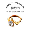 運気 アクセサリー 運気 アップ グッズ 運気上がる 指輪 運気アップ アクセサリー 開運 風水 開運グッズ 健康 金運アップ グッズ リング 長寿 祝い 亀 指輪 指輪 フリーサイズ サイズ調整 フリー 8号~18号 指輪 おしゃれ ロングライフプレミアムリング
