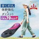 体幹筋エクササイズインソール ツインボール