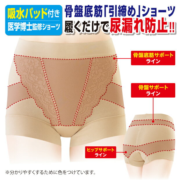 尿漏れパンツ 女性用 尿漏れ防止パンツ 失禁パ...の紹介画像2