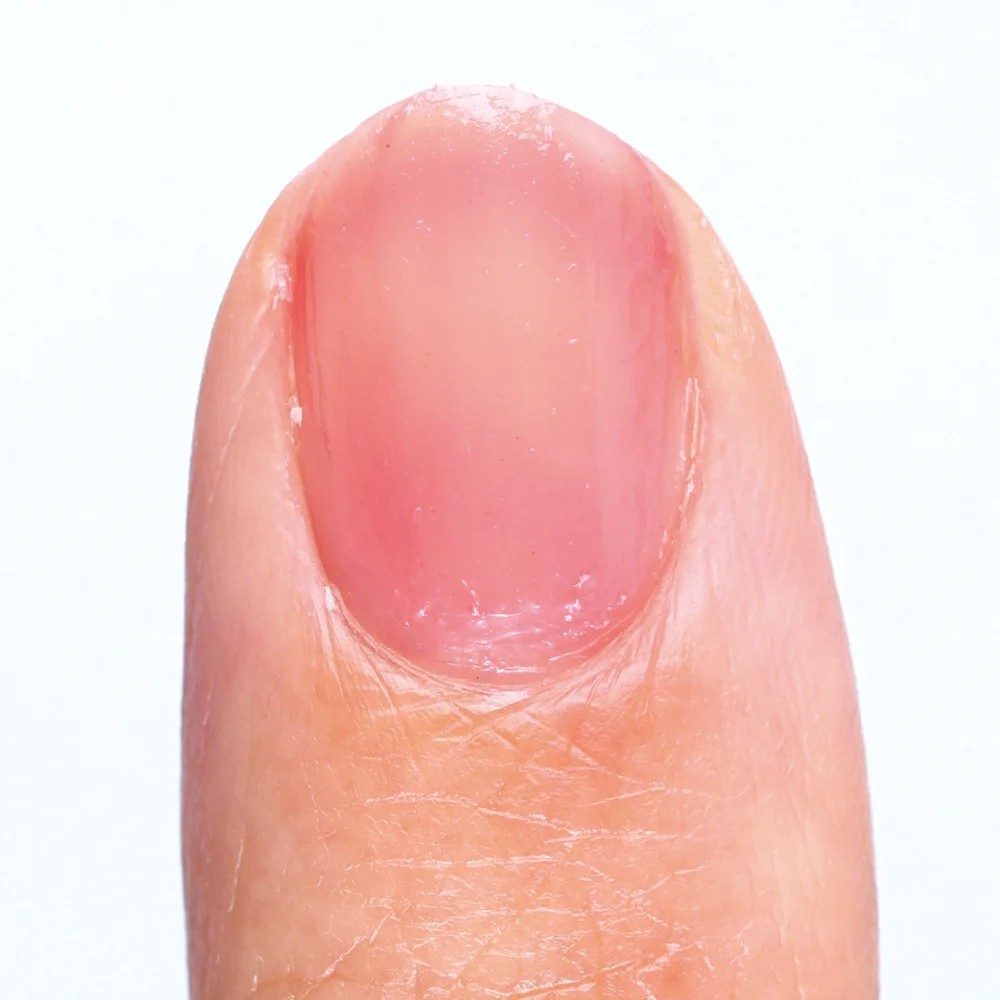 �ȥåץ����� �ĥ�ץ��ƥ��� ���������Ʊ� ������ �ĥ� ���顼 �ץ��ƥ��� �� �ͥ��� �ԥ󥯥١����� ���ꥢ�ԥ� �Ĥ� �ڥ󥿥��� �Υå��� ���ʥ��顼 ������ȯ�� �ĥ�ץ��ƥ��󥫥顼����2.8ml��