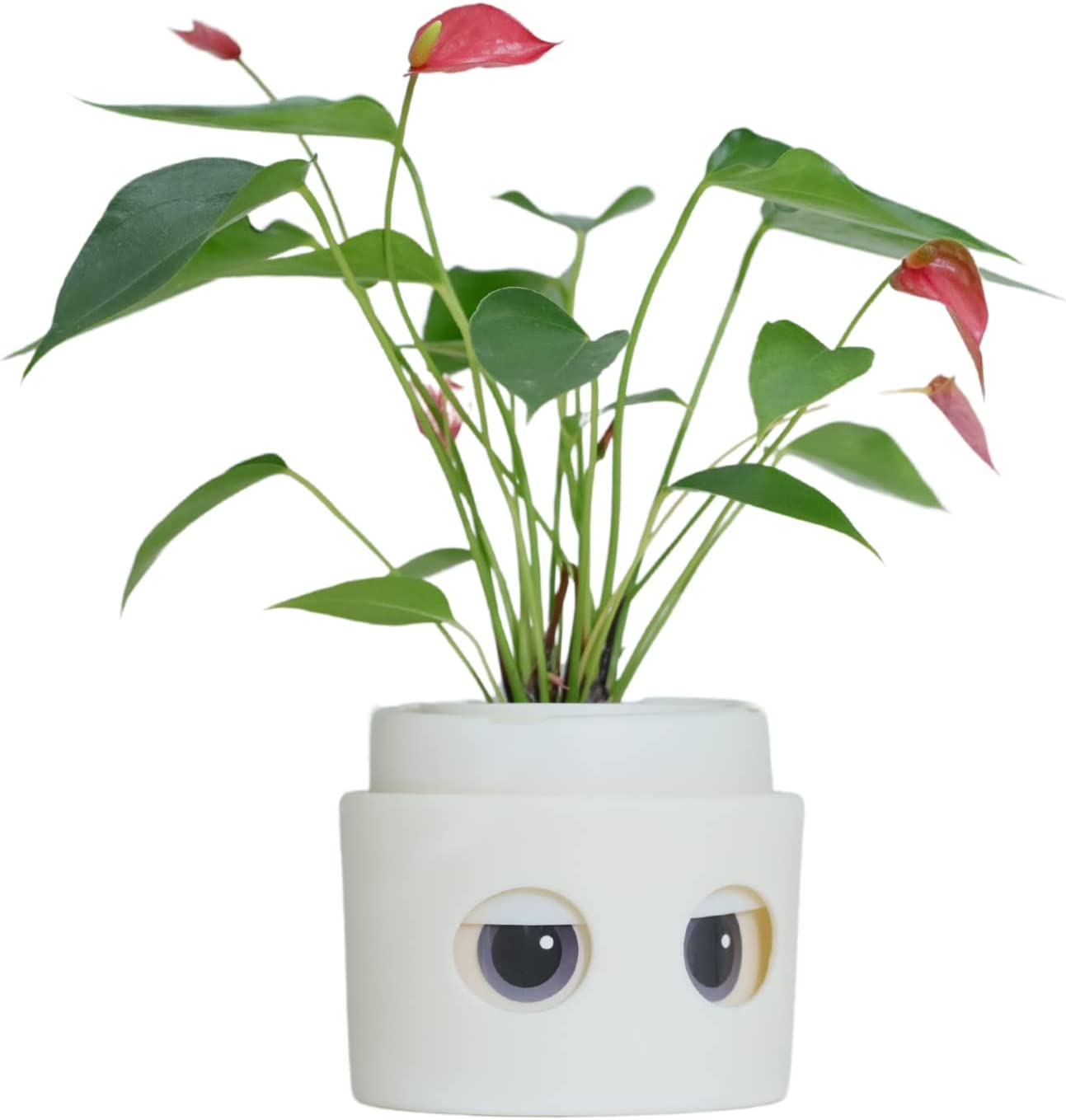 Rakuten - Pet Pot ペットポット プランター 植物 水やり 家庭菜園 園芸 ガーデニング 観葉植物 植木鉢 かわいい お洒落プランター アメイズプラス かわいい植木鉢 水耕栽培 軽い 小型 室内 屋内 リビングファーム インテリア